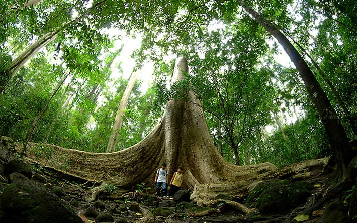 The 6 BEST National Parks in Vietnam