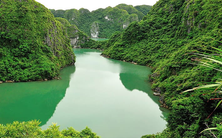 The 6 BEST National Parks in Vietnam_ Cat Ba